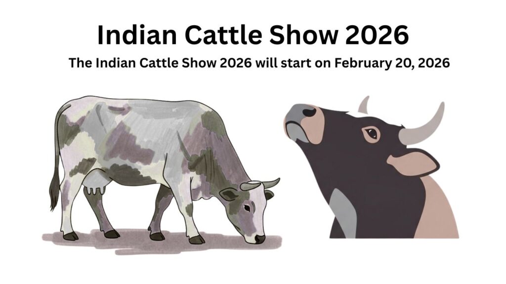 Indian Cattle Show 2026 promotional image featuring two cows and text announcing the event starting February 20, 2026.